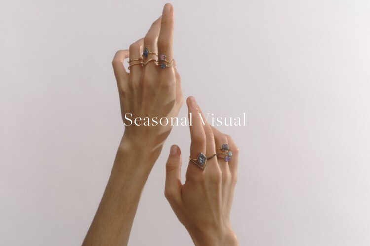 Seasonal Visual