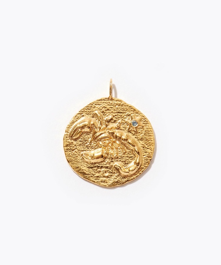 [constellation] Scorpio big coin charm