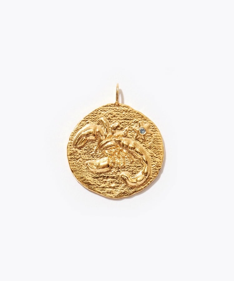 [constellation] Scorpio big coin charm