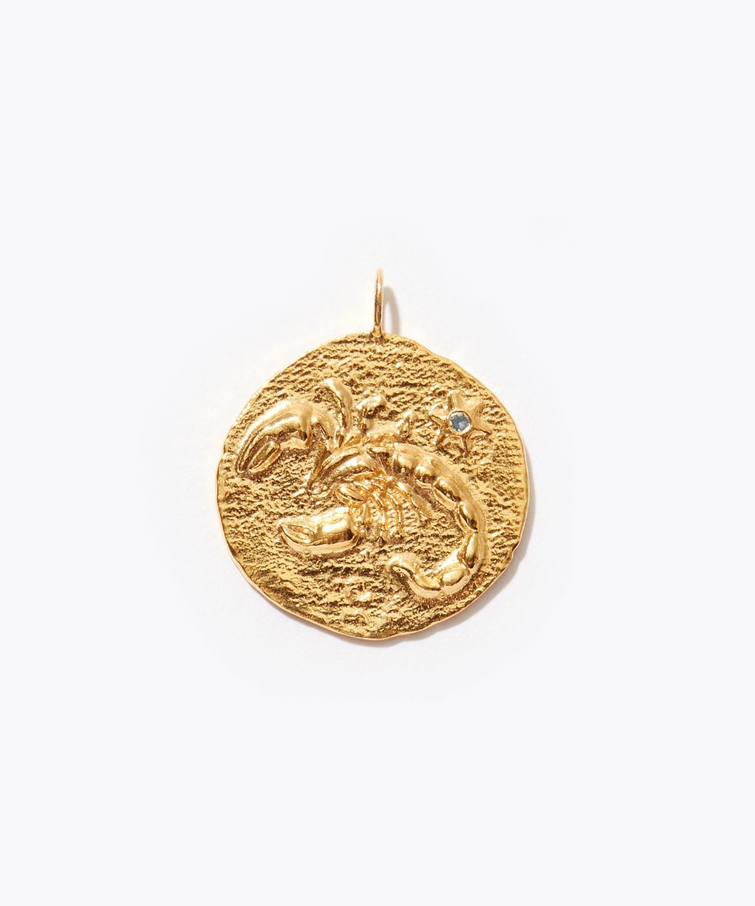 [constellation] Scorpio big coin charm