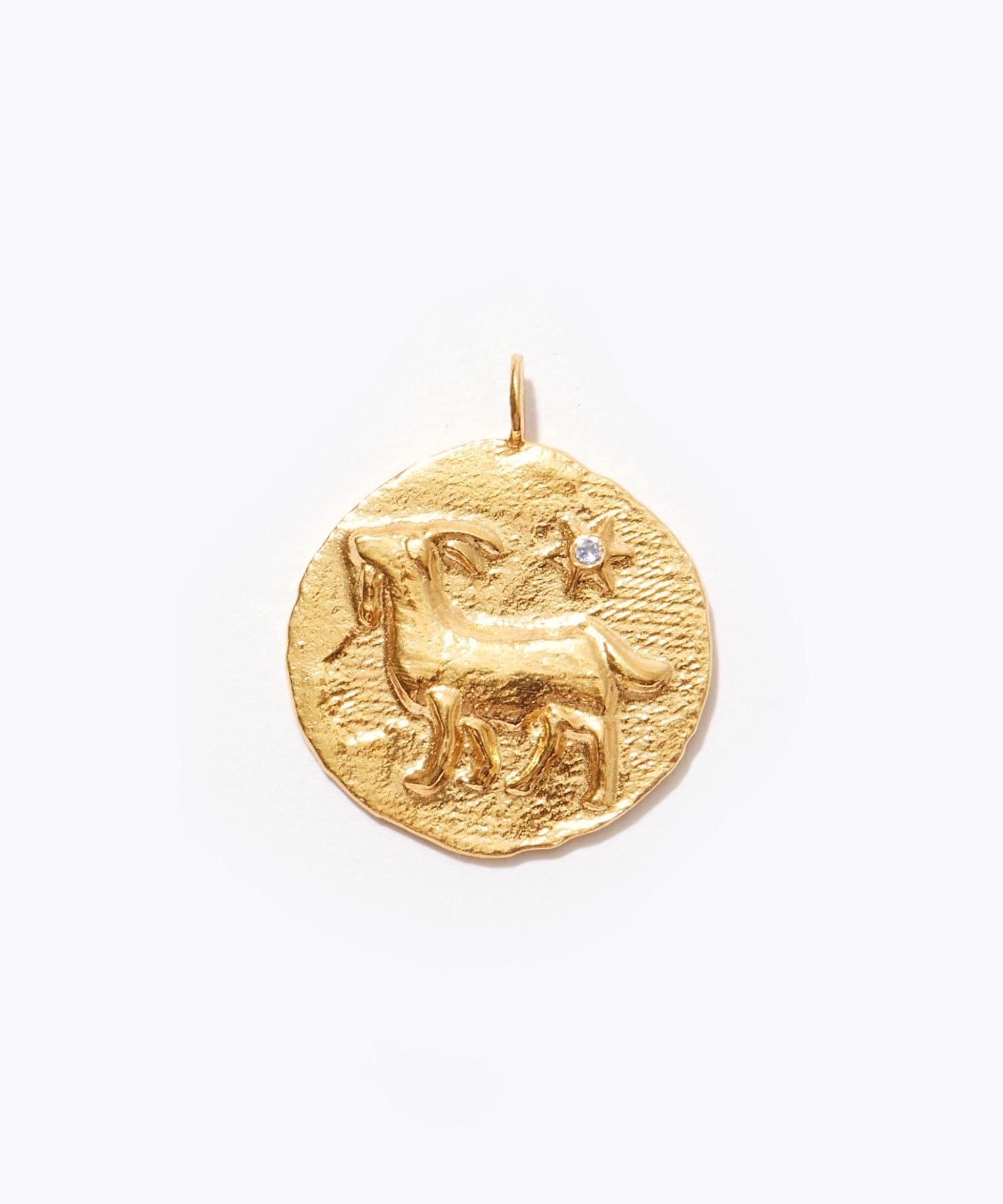 [constellation] Capricorn big coin charm