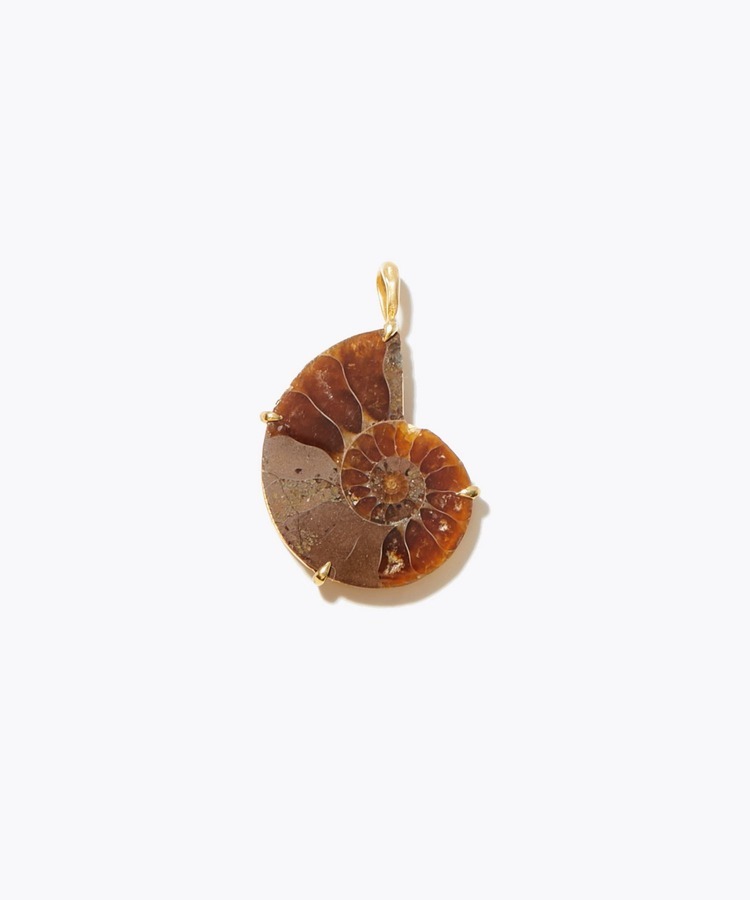 [ancient] ammonite mini charm