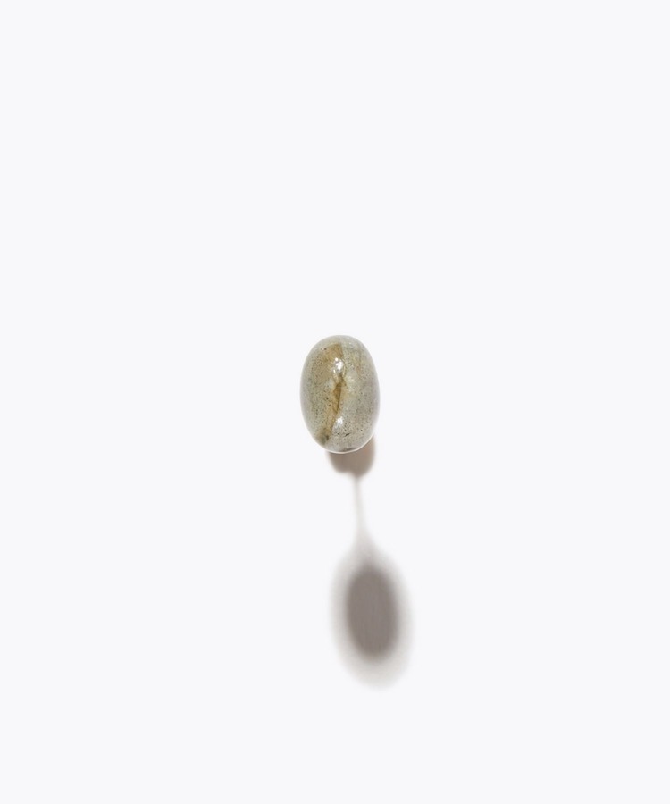 [bone] bean labradorite petit stud single pierced earring