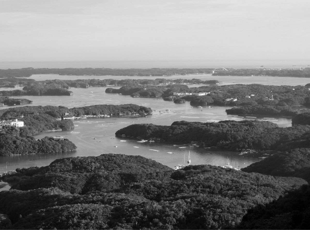 海