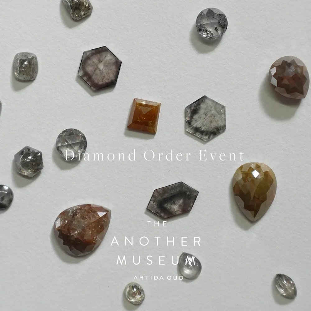 今月のおすすめ