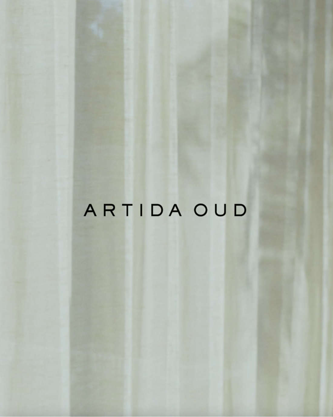 美品 ⭐︎ 限定 アルティーダウード 4周年記念 ピアス アメジスト ルビー 片耳 ARTIDA OUD(アルティーダ ウード)｜elafonisi ニュームーン