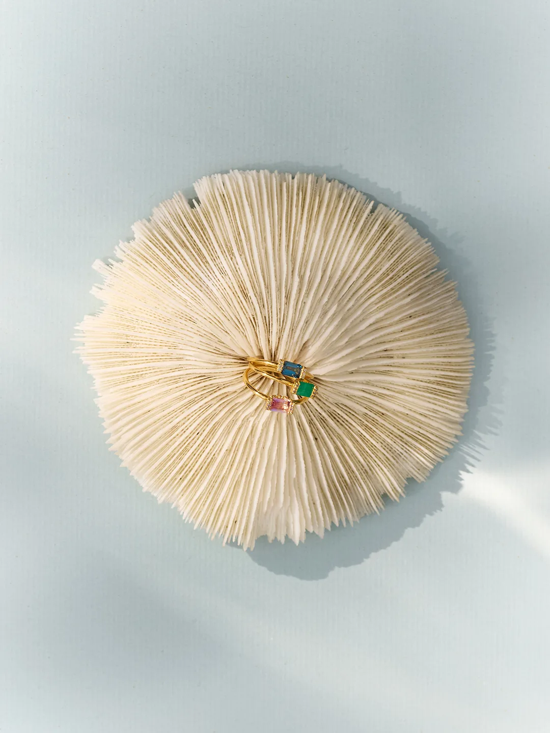 オブジェの上に置かれたリング