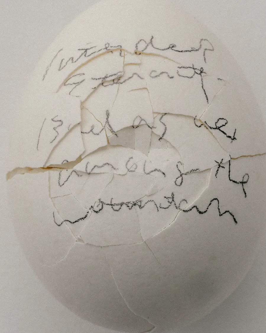 item 6